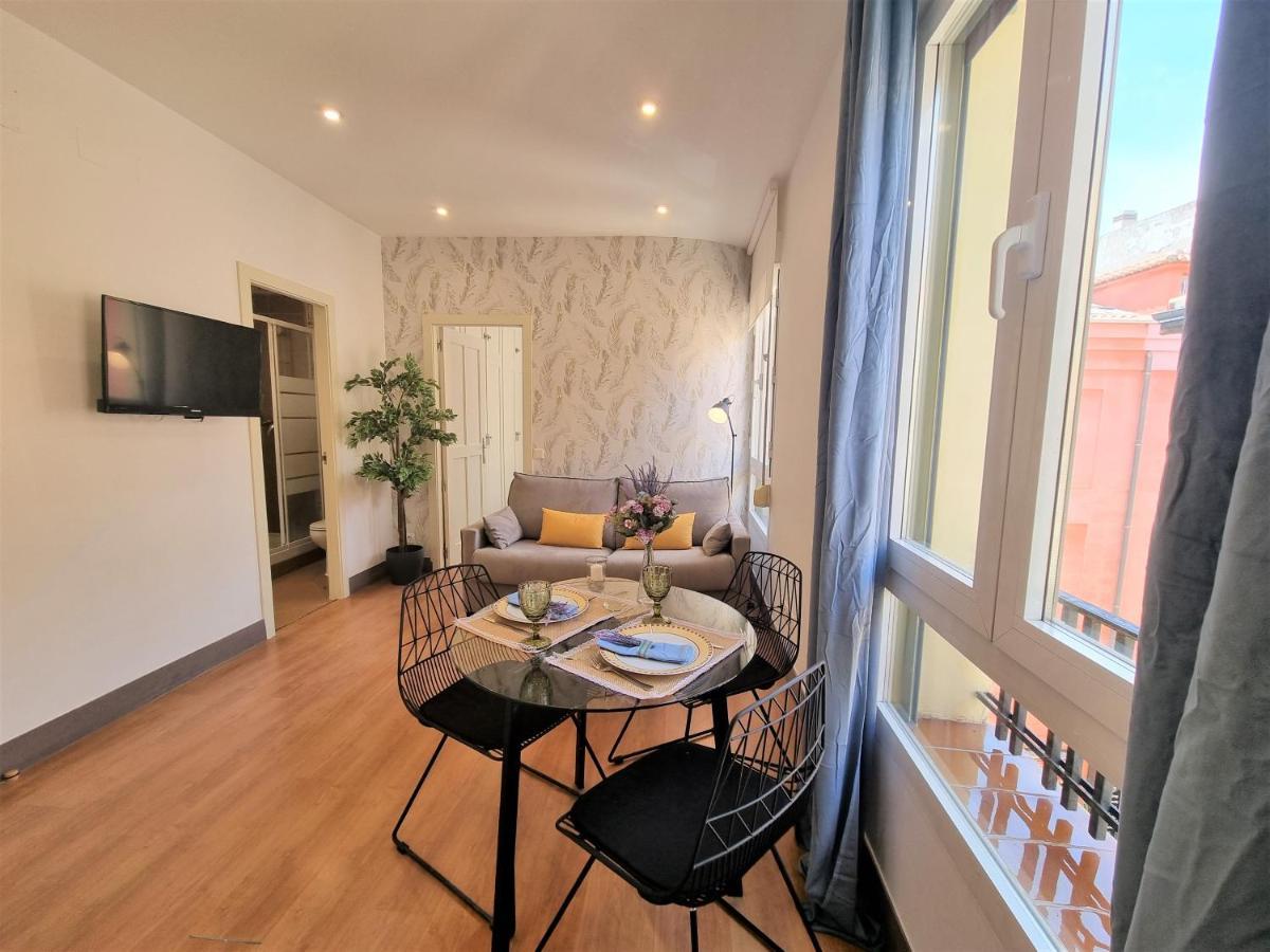 Molina - La Latina Apartamento Madrid